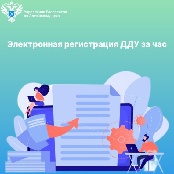 Электронная регистрация ДДУ за час. Электронная регистрация ДДУ за час.
